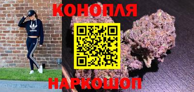 дживик Кингисепп